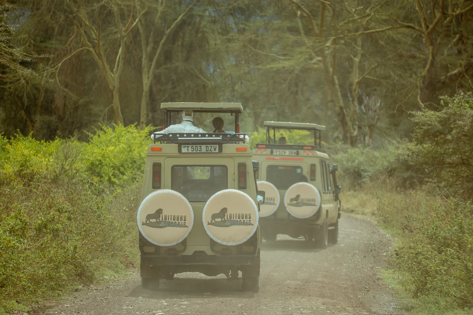 Wildlife in an East African safari landscape